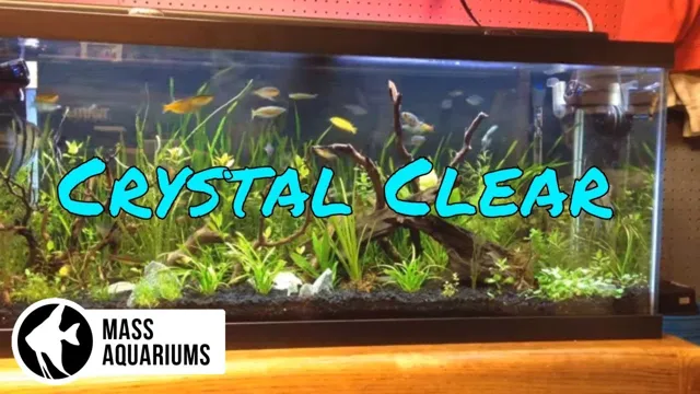 how to maintain crystal clear water in aquarium