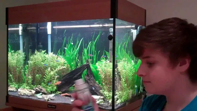 how to maintain live plants in aquarium