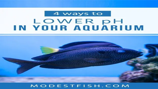 how to maintain low ph in aquarium