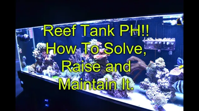 How to Maintain pH Level in Reef Aquarium and Ensure Coral Health