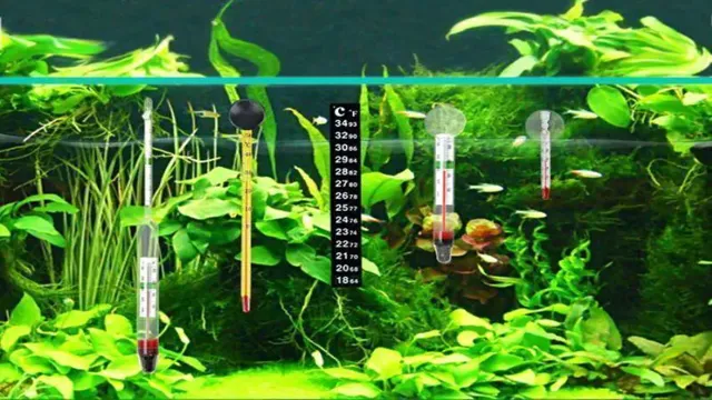 How to Maintain Temperature in Aquarium: 7 Tips and Tricks for Temperature Control