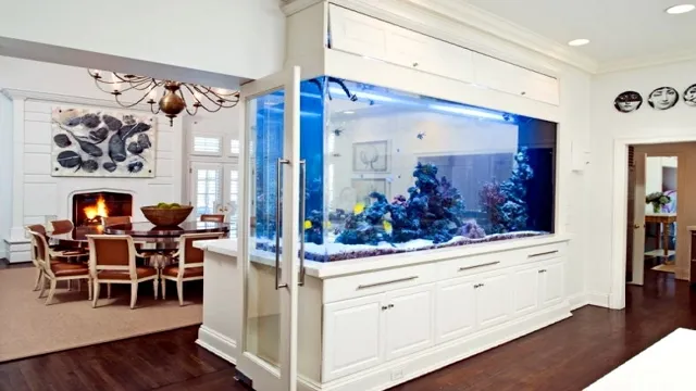 How to Maintain a Wall Aquarium: Tips and Tricks for A Beautiful and Healthy Underwater World