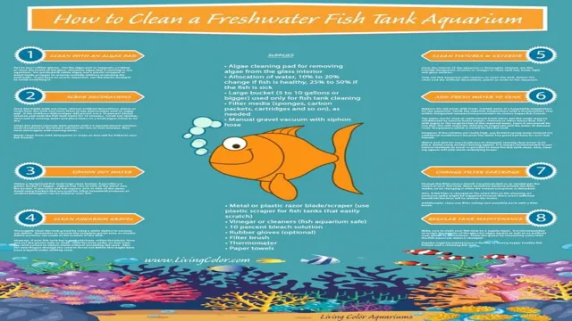 how to maintain your freshwater aquarium