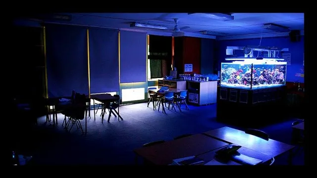 how to maka classroom into an aquarium