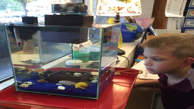 how to maka classroom into an aquarium