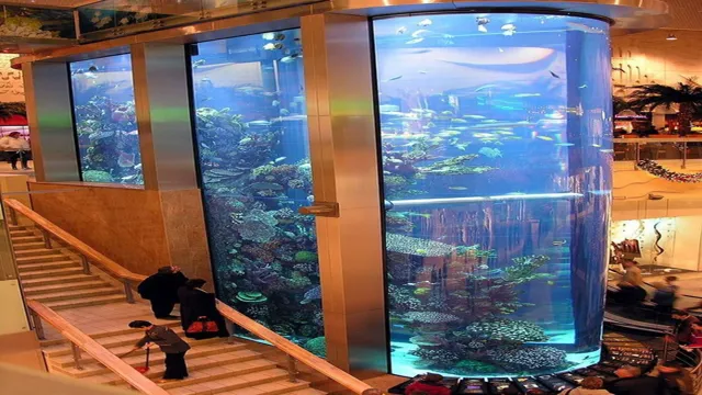 How to Make a 10g Aquarium Look Cool: 8 Creative Ways to Transform Your Tank