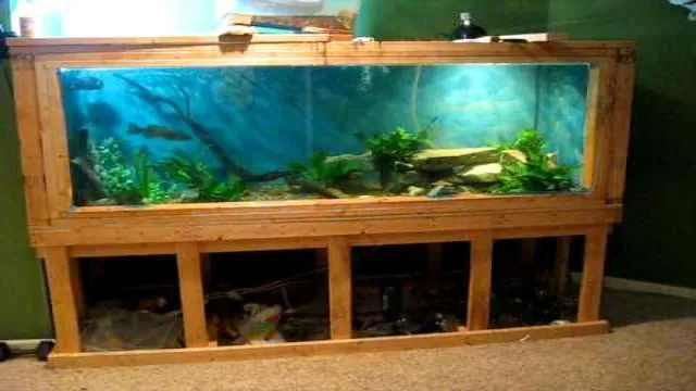 How to Make a 450 Gallon Aquarium: A Step-by-Step Guide for Beginner Aquarists