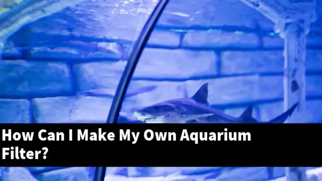 how to make a aquarium filter at home