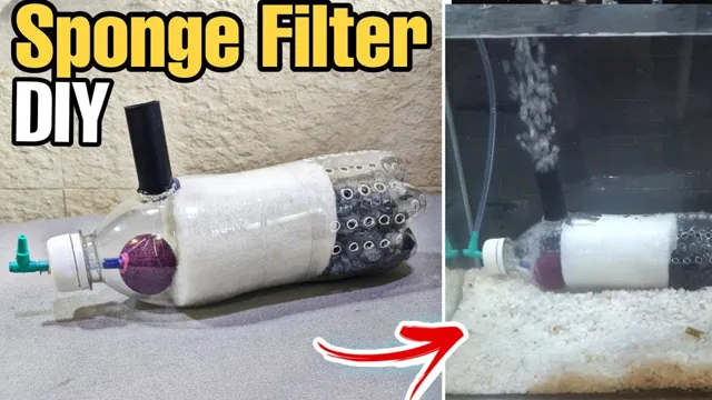 How to Make an Aquarium Filter at Home: DIY Guide for Crystal Clear Water