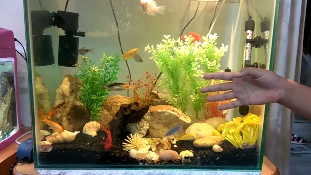 how to make a aquarium india habitat