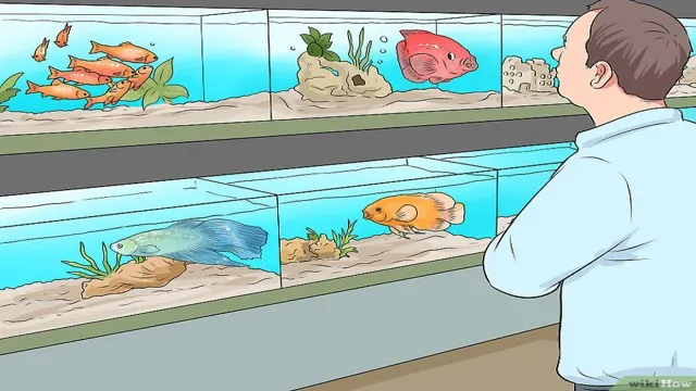 how to make a aquarium support mobile home