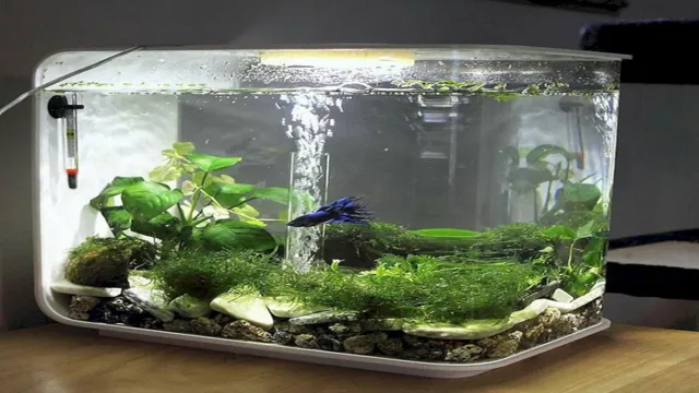 how to make a beautiful aquarium in home