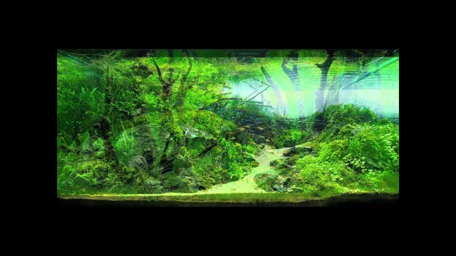 How to Make a Beautiful Planted Aquarium: Tips and Tricks for Creating a Stunning Underwater World