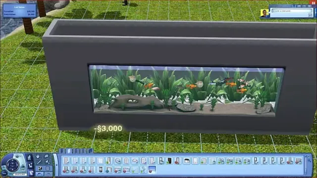 How to Make a Big Aquarium in Sims 3: Step by Step Guide and Tips