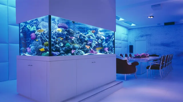 How to Make a Big Tank in Happy Aquarium: Simple Steps and Tips