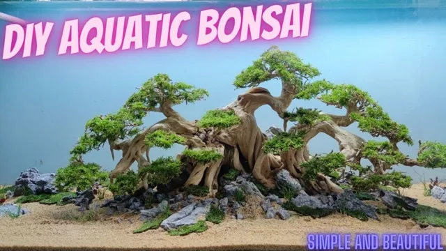 how to make a bonsai tree for aquarium