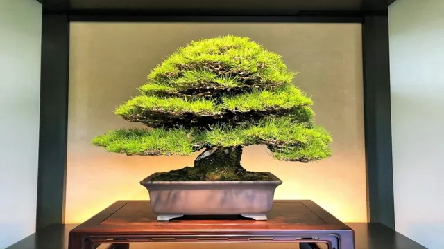 How to Make a Bonsai Tree for Aquarium: Step-by-Step Guide to Creating a Beautiful Underwater Garden