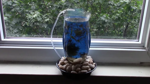 How to Make a Bottle Aquarium at Home: Step-by-Step Guide for Unique Home Decor