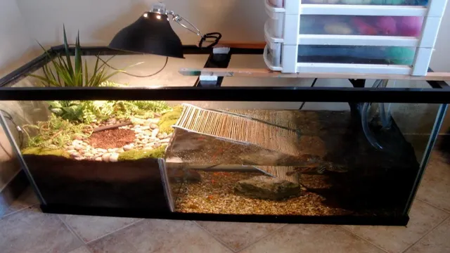 How to Make a Box Turtle Aquarium: A Step-by-Step Guide to Creating the Perfect Habitat