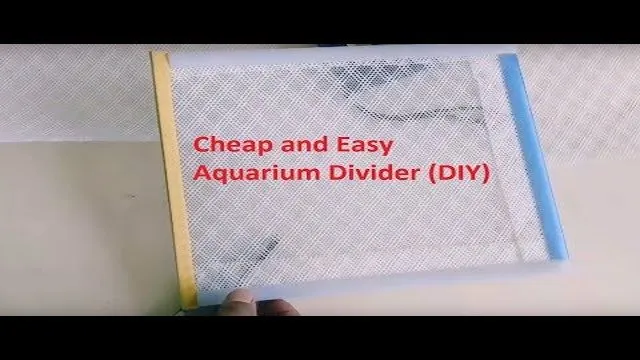 how to make a cheap aquarium divider