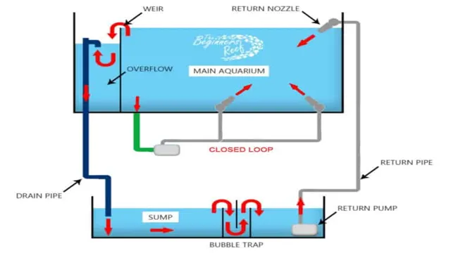 How to Make a Closed Loop Aquarium: A Step-by-Step Guide to Building a Self-Sustaining System