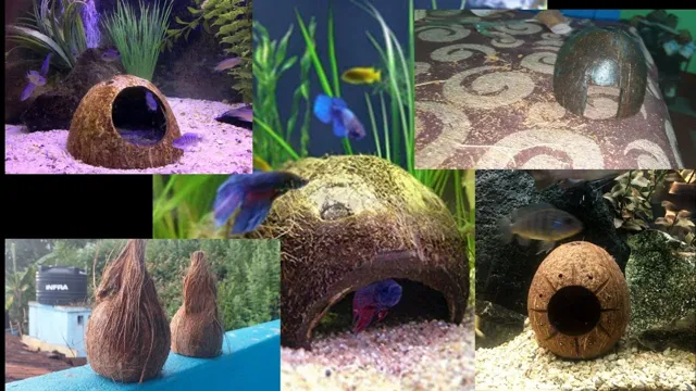 How to Make a Coconut Hide for Aquarium: Step-by-Step Guide