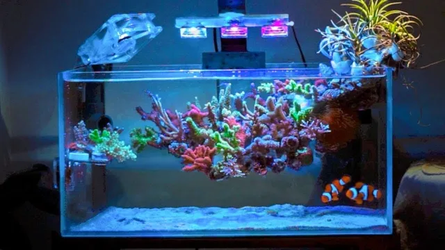 how to make a coral reef aquarium 10 gallon tank