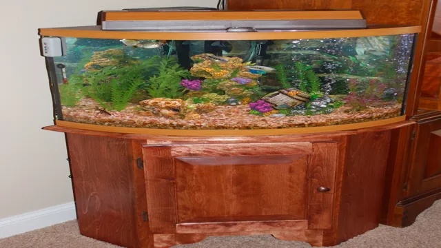 how to make a corner bowfront aquarium stand