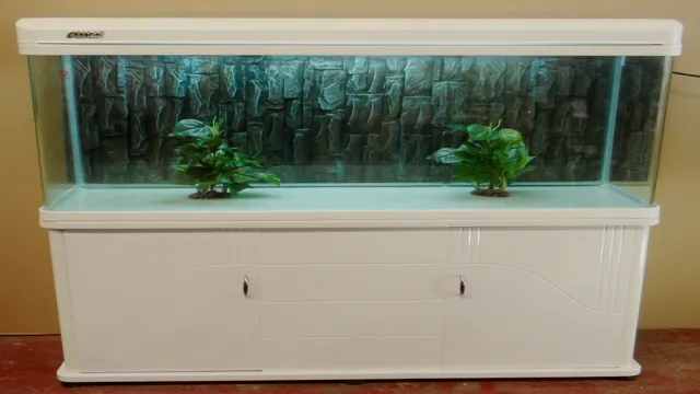 How to Make a Curved Glass Aquarium: Step-by-Step Guide for Beginners