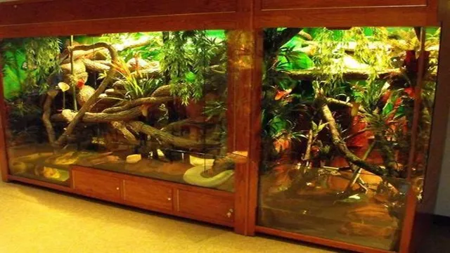 How to Make a Custom Snake Aquarium: A Step-by-Step Guide for Beginners.