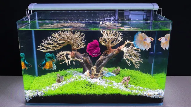 how to make a dead bonsai aquarium safe