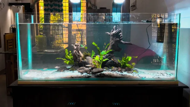 how to make a densely planted aquarium