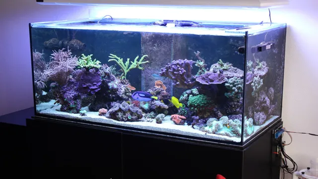 how to make a display case from an aquarium