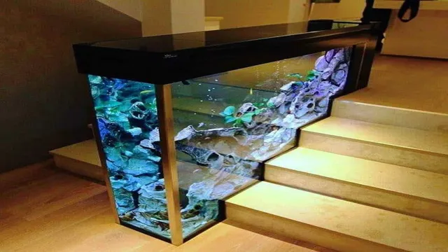 How to Make a Display Case from an Aquarium: Step-by-Step Guide for DIY ...