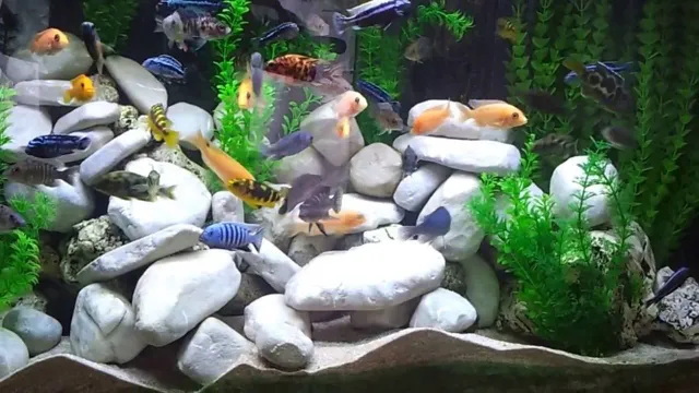 how to make a fake rock background for aquarium