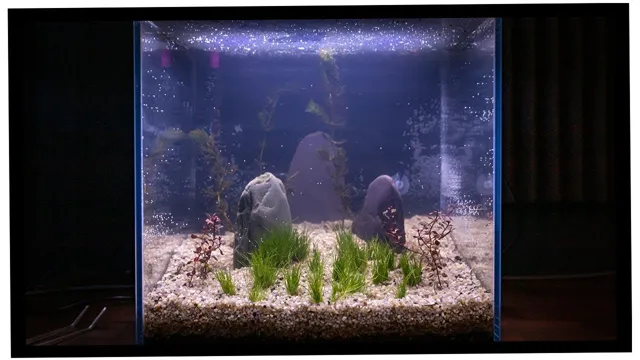how to make a filterless aquarium