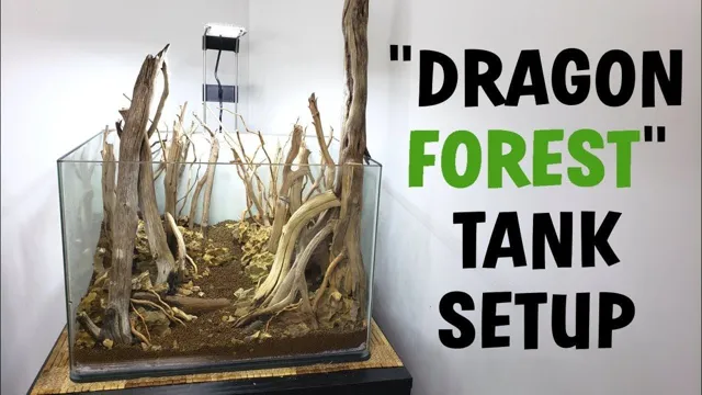 How to Make a Forest Aquarium: A Step-by-Step Guide to Creating Your Own Miniature Ecosystem