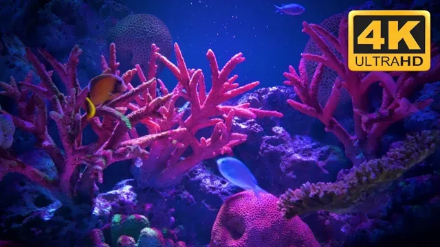 how to make a frame for an aquarium