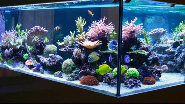 how to make a freshwater aquarium look like saltwater