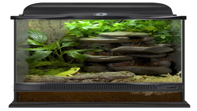 How to Make a Frog Habitat in an Aquarium: A Step-by-Step Guide for Beginners