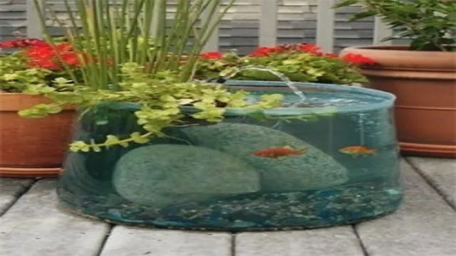 How to Make a Garden Aquarium: Step-by-Step Guide for Your Outdoor Space