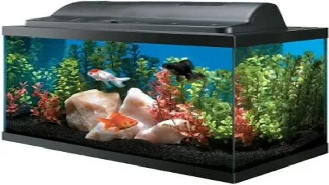 How to Make a Glass Aquarium Light Hood: A Simple Guide for Bright and Healthy Fish Tank Environment