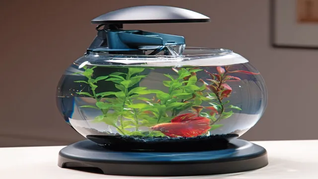 How to Make a Glass Bowl Aquarium: A Step-by-Step Guide for Stunning Underwater Displays