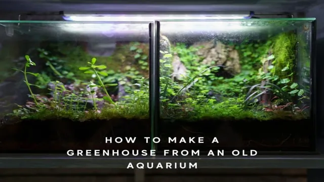 how to make a greenhouse out of 75 gallon aquarium