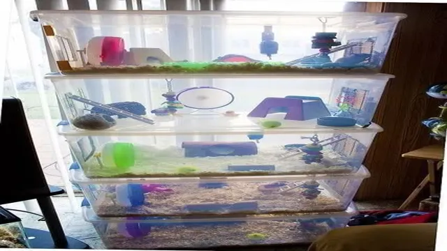 how to make a hamster aquarium cage