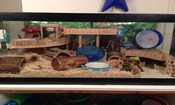How to Make a Hamster Cage in Aquarium:&hellip;