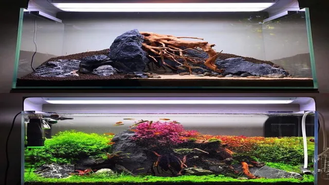 How to Make a Hardscape Aquarium: Step-by-Step Guide to Creating the Perfect Aquatic Landscape