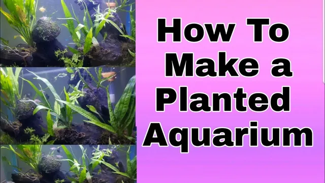 how to make a heavily planted aquarium