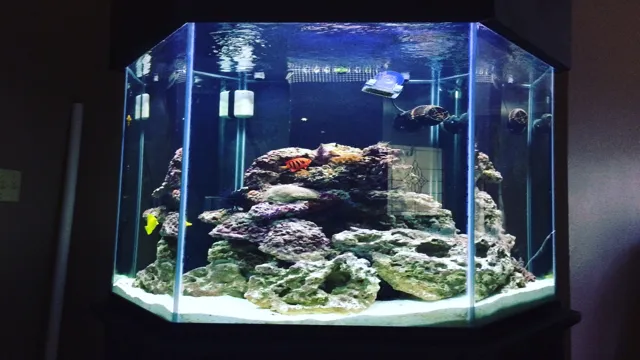 how to make a hexagon aquarium rock