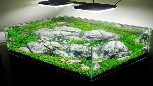 How to Make a Hill in an Aquarium: A Step-by-Step Guide…